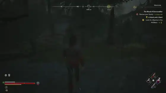 The Blood of Dawnwalker — swamp and open-world night traversal near Briar routes